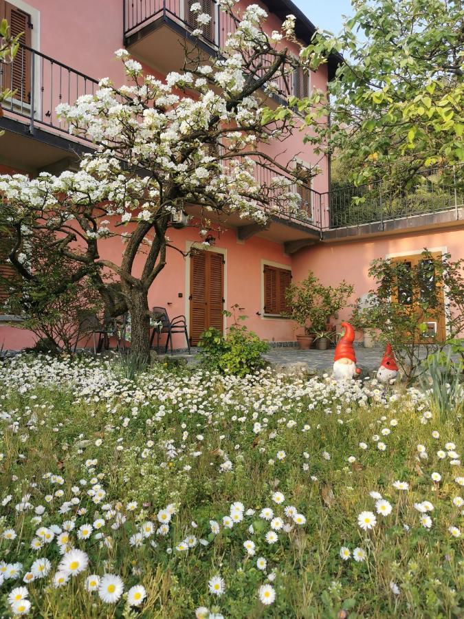 La Baia D'Acquadolce Villa Bolzano Novarese Luaran gambar