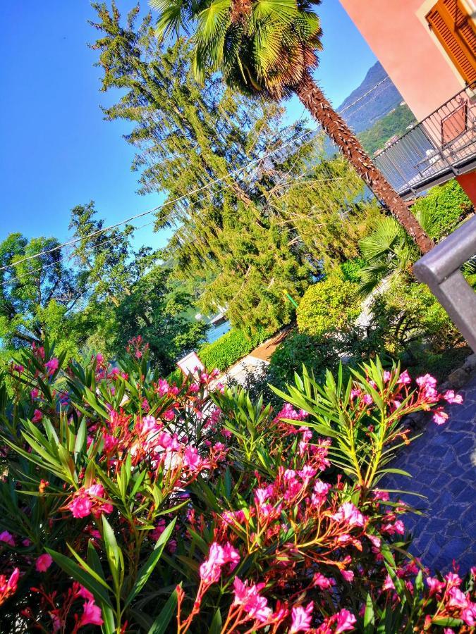 La Baia D'Acquadolce Villa Bolzano Novarese Luaran gambar