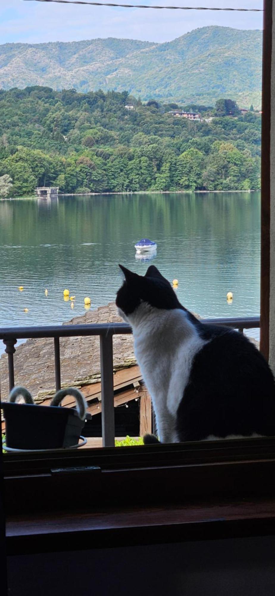 La Baia D'Acquadolce Villa Bolzano Novarese Luaran gambar